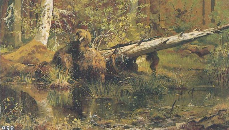 Ivan Shishkin Forest oil painting picture